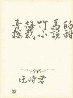 青梅竹马的霸道总裁小说甜宠文