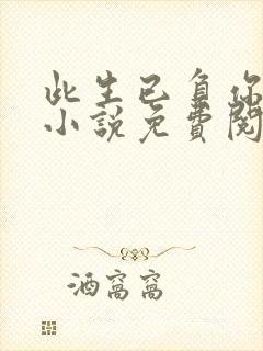 此生已负你情深小说免费阅读