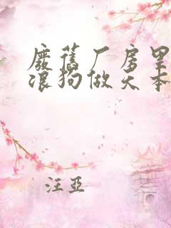 废旧厂房里和流浪狗做天本