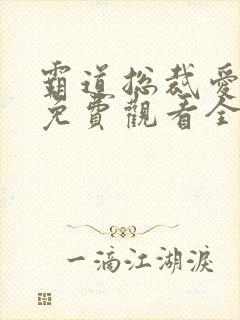 霸道总裁爱上我免费观看全集电视剧