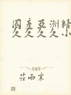 国产亚洲精品久久久久久小说