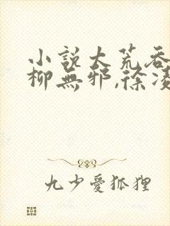 小说太荒吞天诀柳无邪,徐凌雪