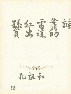 孙红雷靠谁女演员出道的