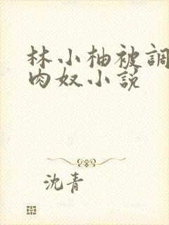 林小柚被调教成肉奴小说