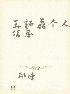 王译磊个人简介信息