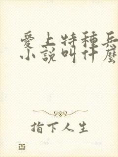 爱上特种兵原著小说叫什么