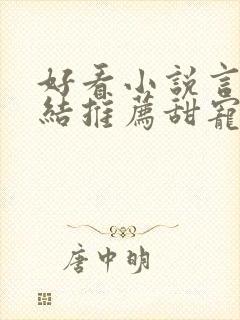 好看小说言情完结推荐甜宠文