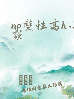 np双性高h小说