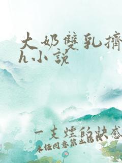 大奶双乳挤奶水h小说