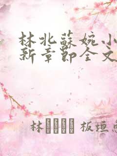 林北苏婉小说最新章节全文