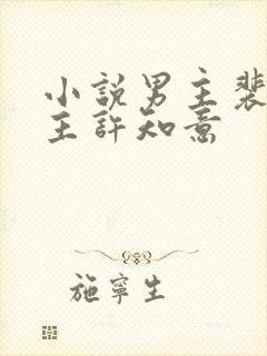 小说男主裴珩女主许知意