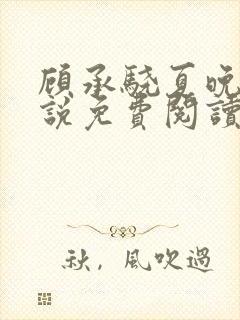 顾承骁夏晚宁小说免费阅读最新章节