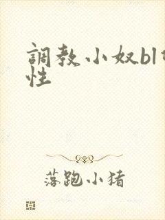 调教小奴bl双性