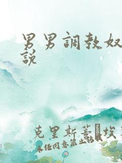 男男调教奴隶小说