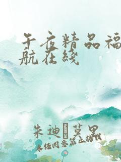 午夜精品福利导航在线