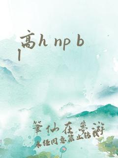 高h np bl
