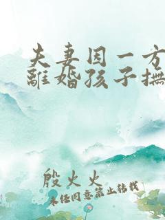 夫妻因一方出轨离婚孩子抚养权怎么判定