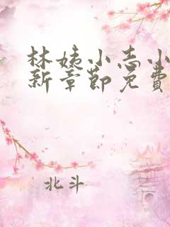 林姨小志小说最新章节免费阅读无弹窗