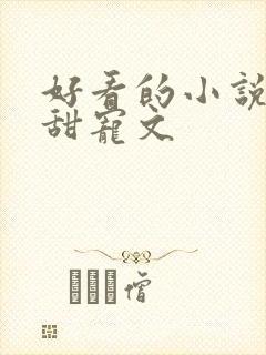 好看的小说言情甜宠文