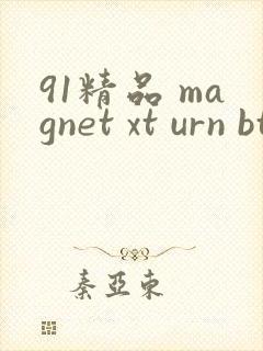 91精品 magnet xt urn btih