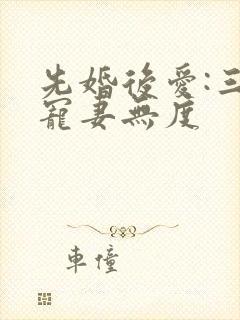 先婚后爱:三少宠妻无度