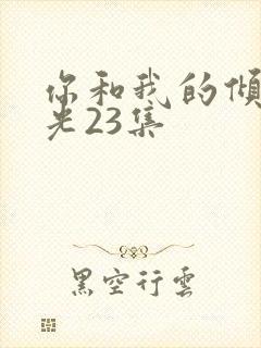 你和我的倾城时光23集