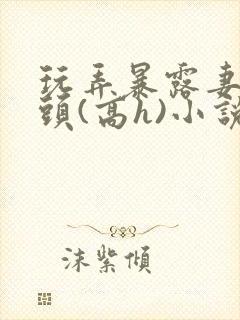 玩弄暴露妻子奶头(高h)小说