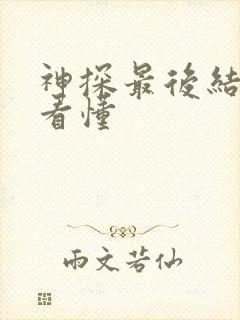 神探最后结局没看懂