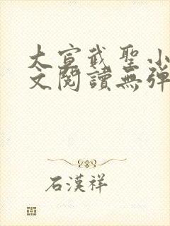 大宣武圣小说全文阅读无弹窗