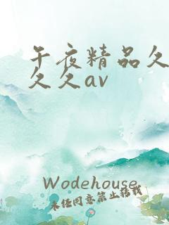 午夜精品久久久久久av