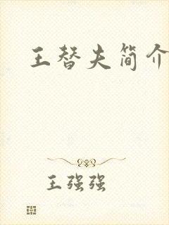 王替夫简介