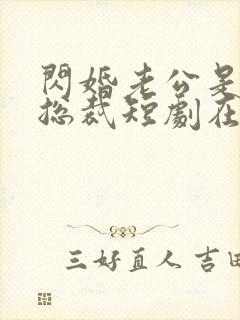 闪婚老公是亿万总裁短剧在线观看