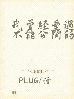 我曾经爱过一个不能公开的人是什么歌