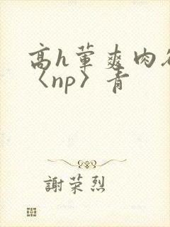 高h荤爽肉欲文〈np〉青