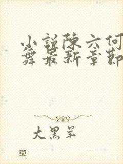 小说陈六何沈轻舞最新章节