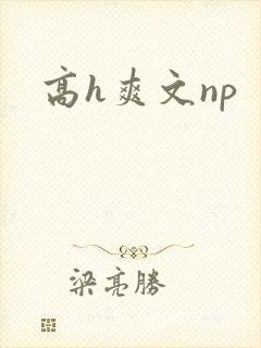 高h爽文np