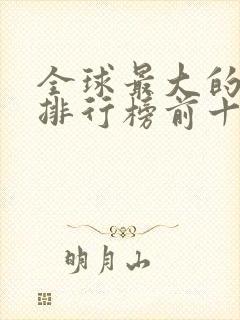 全球最大的公司排行榜前十名