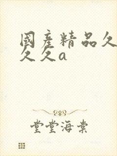 国产精品久久久久久a