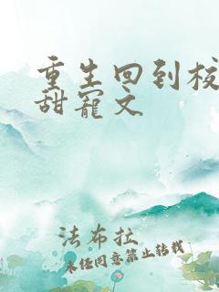 重生回到校园的甜宠文