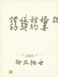 错嫁甜婚 总裁的契约妻