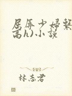 屈辱少妇系列(高h)小说