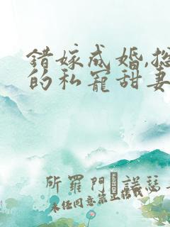 错嫁成婚,总裁的私宠甜妻短剧