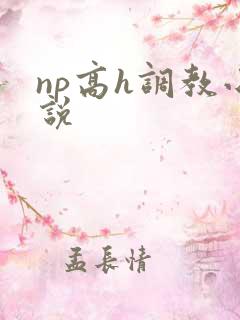 np高h调教小说
