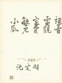 小敏家电视剧西瓜免费观看