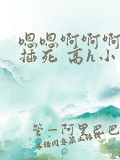 嗯嗯啊啊啊啊 插死 高h小说