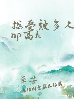 总受被多人玩弄np高h