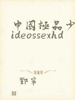 中国极品少妇videossexhd