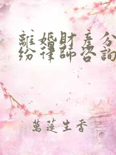 离婚财产分割纠纷律师咨询