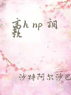 高h np 调教