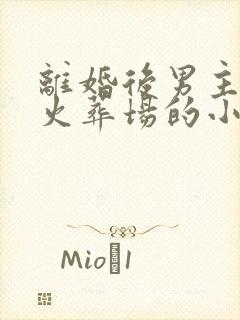 离婚后男主追妻火葬场的小说